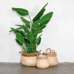 Basket Bamboo Naturel Ø34cm