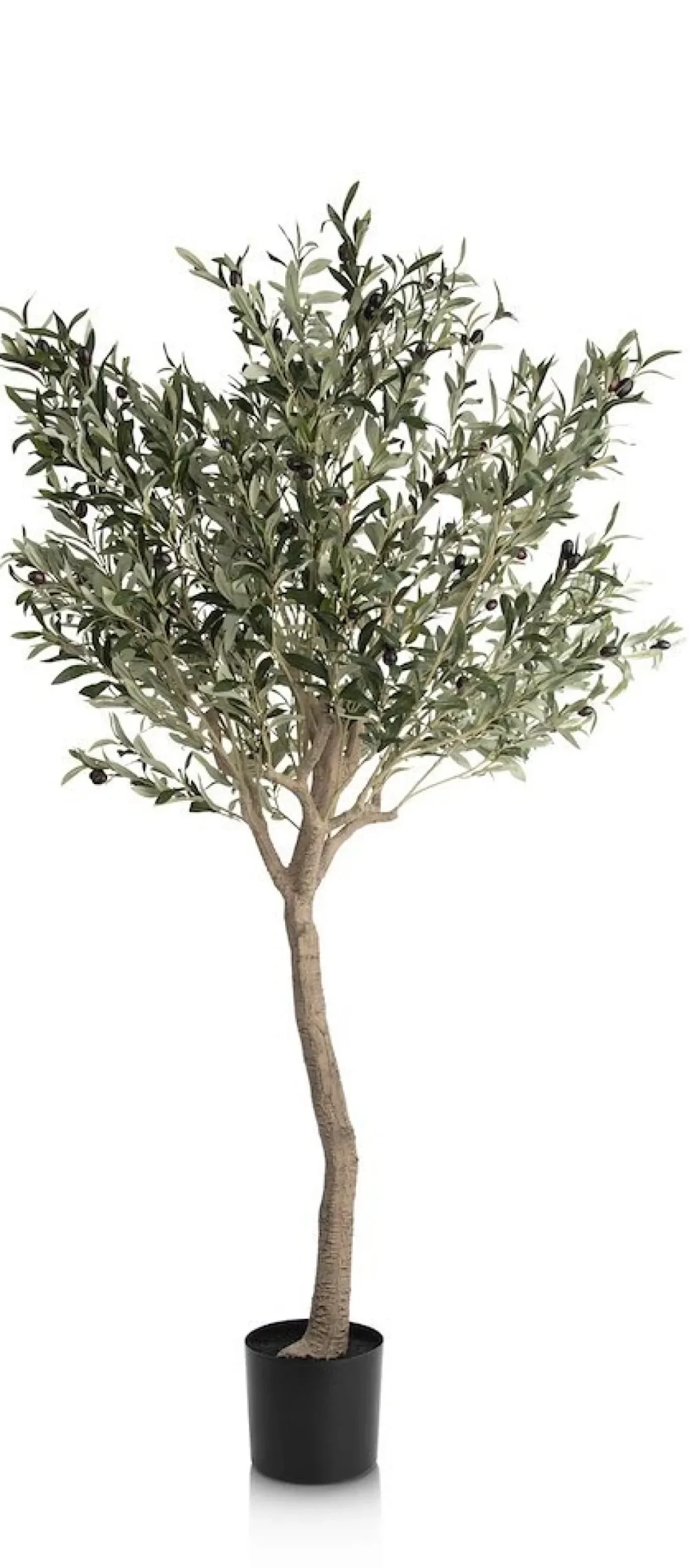 Coco Maison Kunstplant Olive Tree 180cm Groen