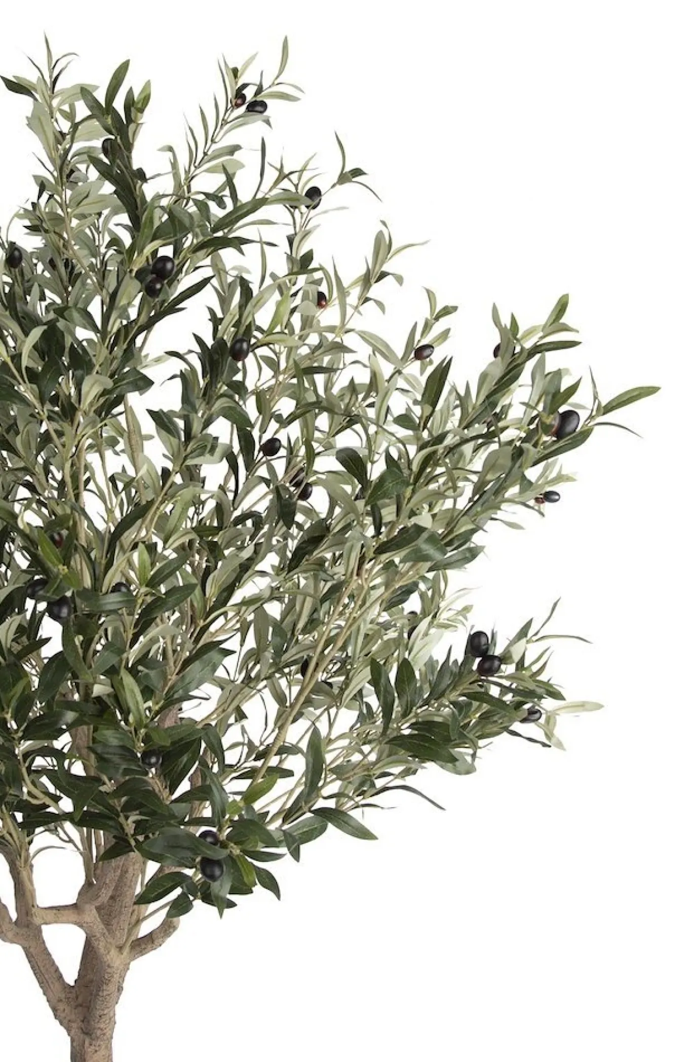 Coco Maison Kunstplant Olive Tree 180cm Groen