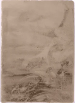 DÉJA Vloerkleed Garen 290x200cm Taupe