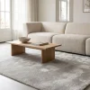 DÉJA Vloerkleed Roke 200x290cm Lichtgrijs