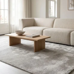 DÉJA Vloerkleed Roke 200x290cm Lichtgrijs