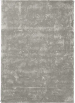 DÉJA Vloerkleed Roke 200x290cm Lichtgrijs