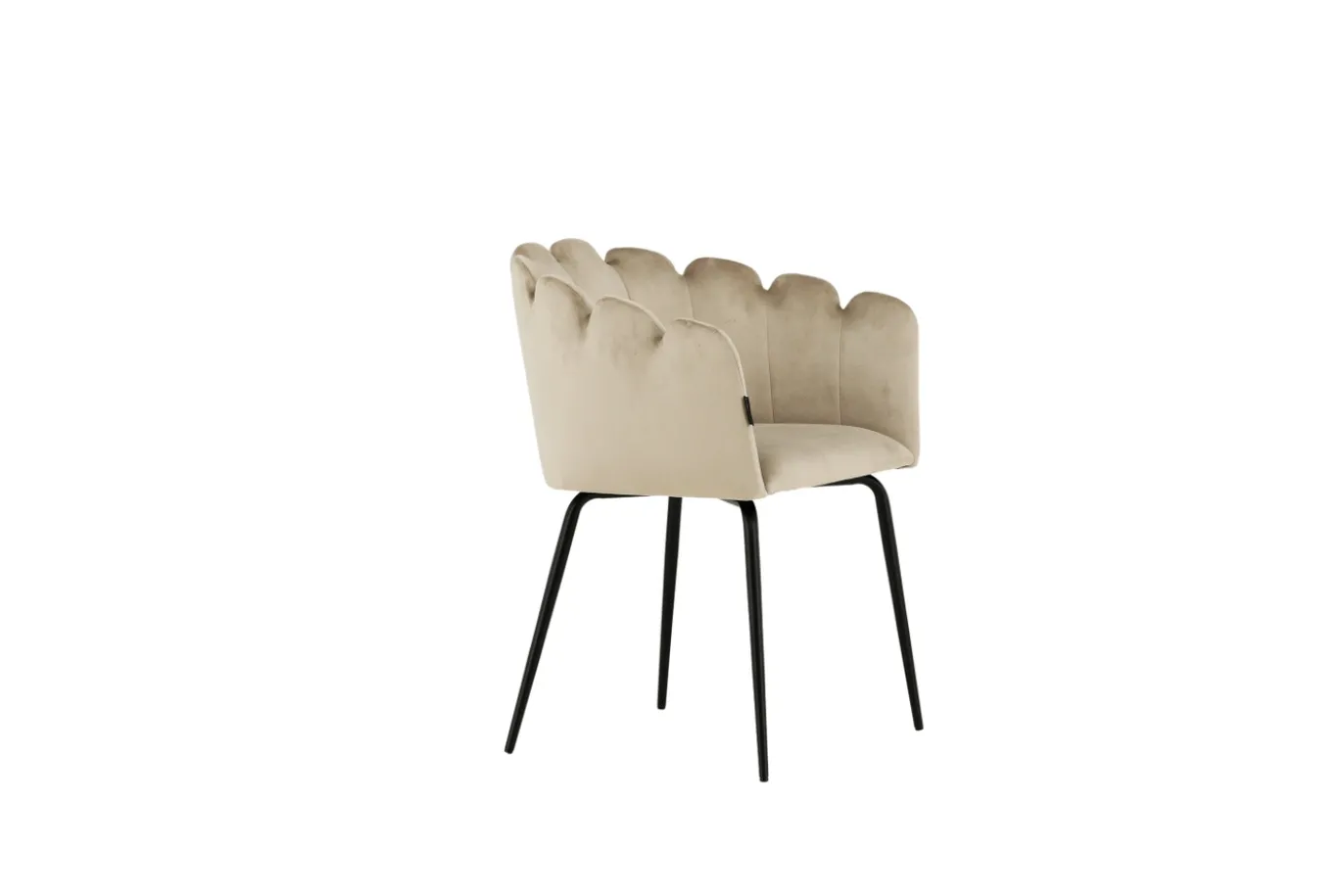 Fjôrd Eetkamerstoel Limhamn Zwart/Beige Velvet