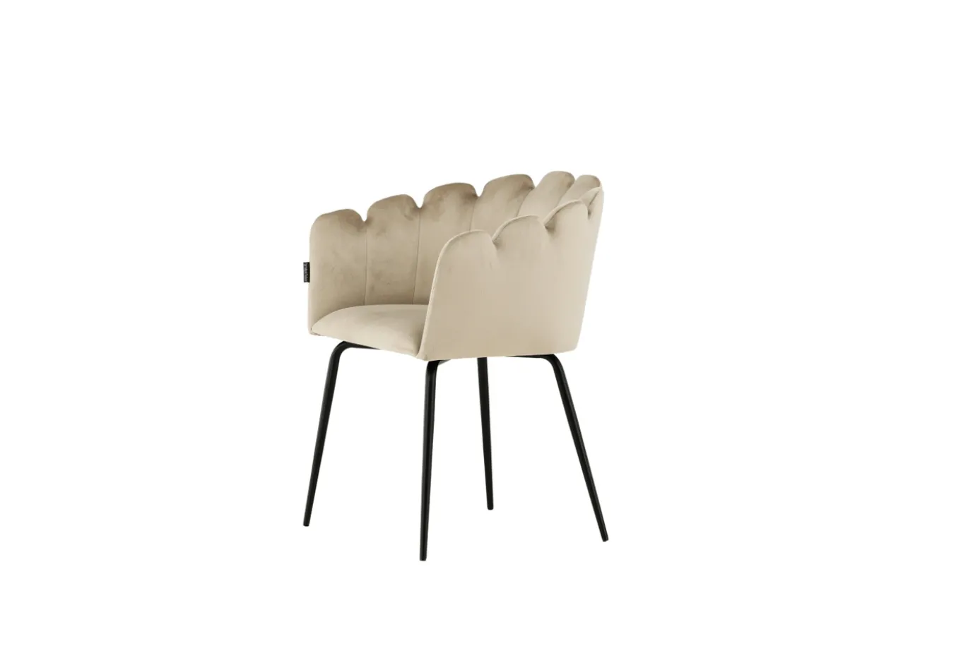 Fjôrd Eetkamerstoel Limhamn Zwart/Beige Velvet