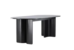 Fjôrd Eettafel Tyresö Ovaal Zwart 220x100cm