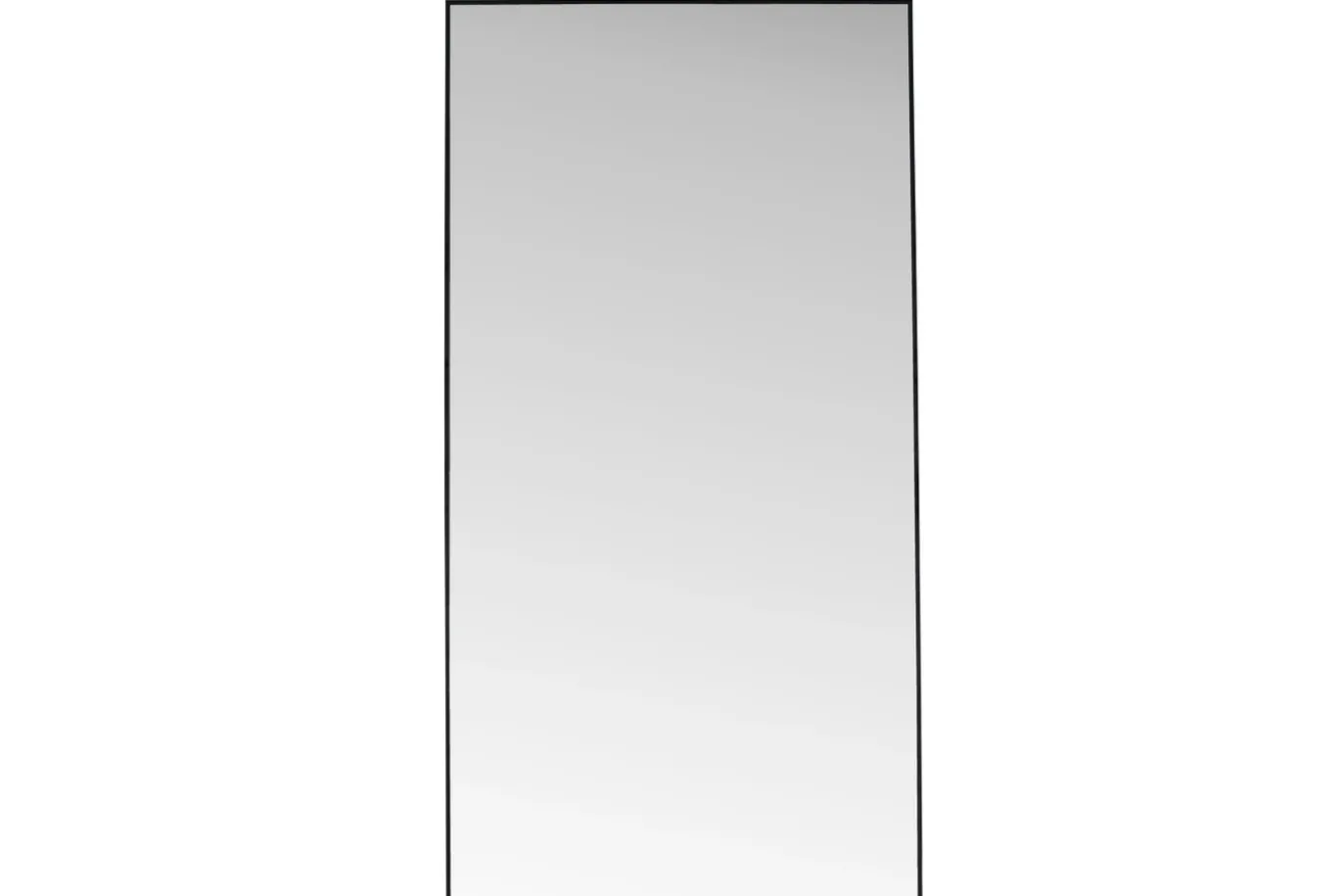 Fjôrd Grote Spiegel Dalton Glas 193x100cm