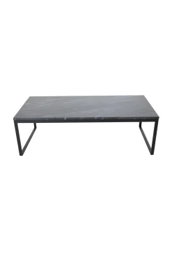 Fjôrd Salontafel Estelle 120x60x36cm Grijs Marmer