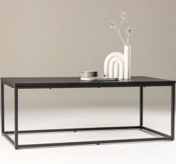 Fjôrd Salontafel Mallan 60x120cm Zwart