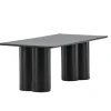 Fjôrd Salontafel Olivia 60x120cm Zwart