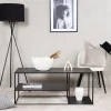 Fjôrd Salontafel Staal Zwart 50x120cm