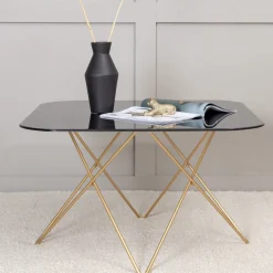Fjôrd Salontafel Tristar Brushed Brass Zwart Glas Marmer
