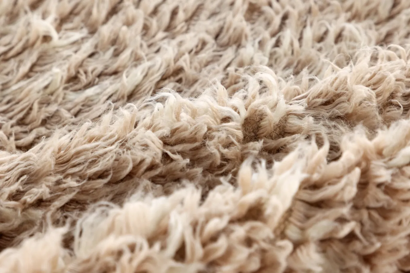 Fjôrd Vloerkleed Leiko 200x300cm Beige