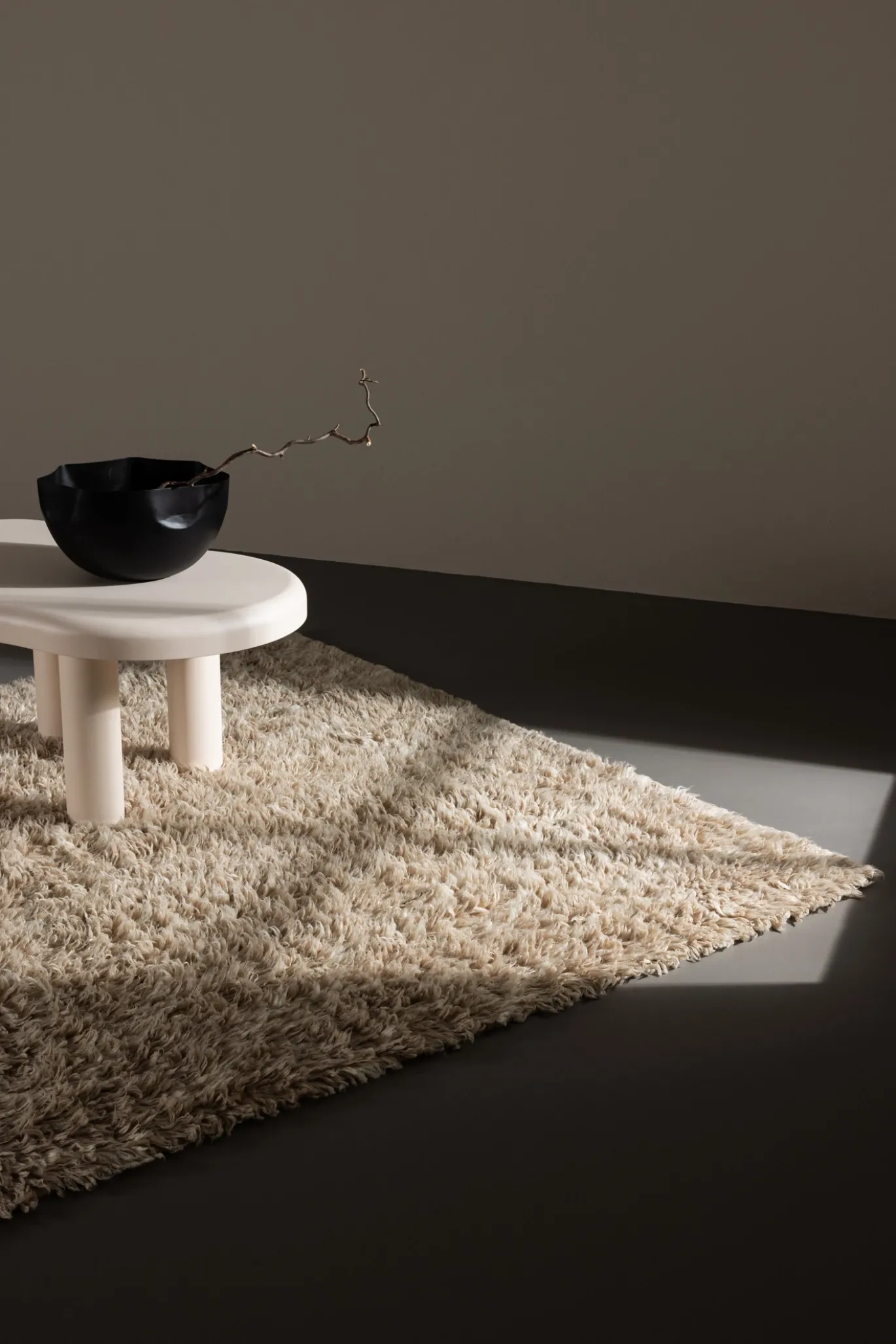 Fjôrd Vloerkleed Leiko 200x300cm Beige