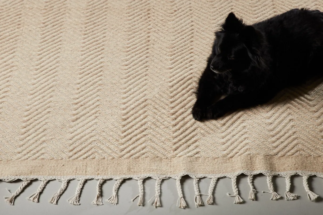 Fjôrd Vloerkleed Loke Katoen Mix 230x160cm Beige