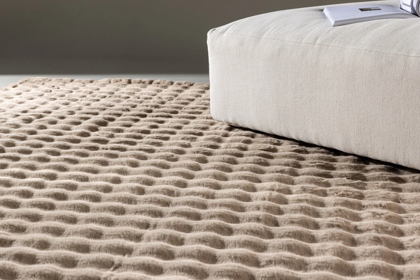 Fjôrd Vloerkleed Novis Polyester 200x290cm Beige