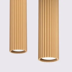 Hanglamp Karbon 2-Lichts Goud - Giga Meubel