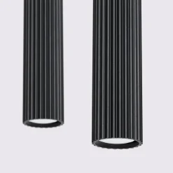 Hanglamp Karbon 2-Lichts Zwart - Giga Meubel