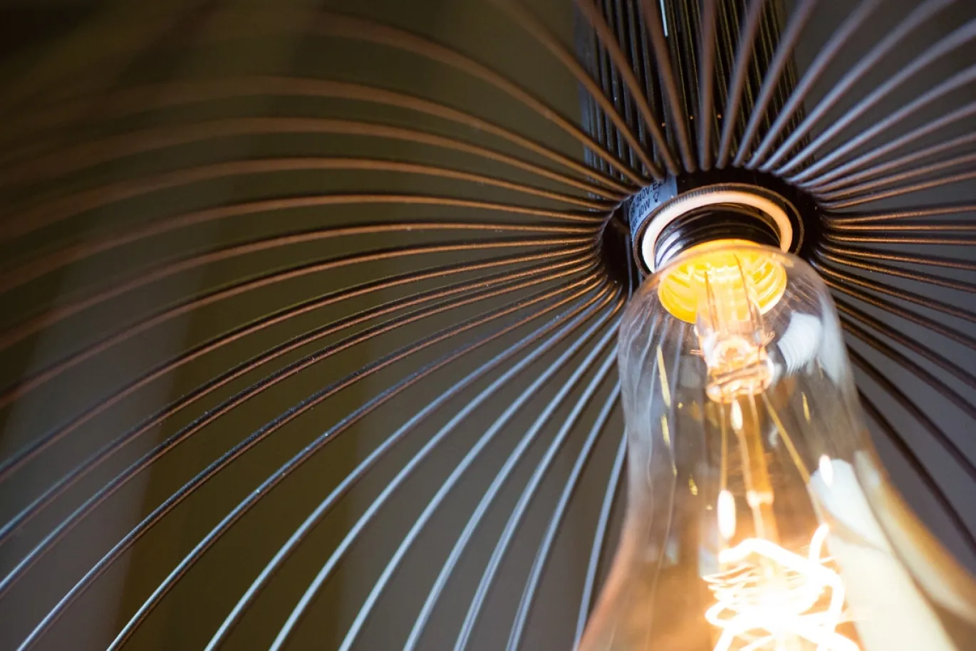 Hanglamp Wire Zwart Ø50cm - Giga Meubel