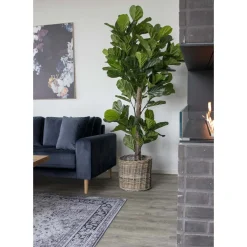 House Nordic Kunstplant Fiddle Leaf Boom 190cm