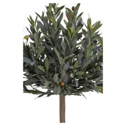 House Nordic Kunstplant Olijf Boom 120cm