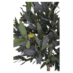 House Nordic Kunstplant Olijf Boom 120cm