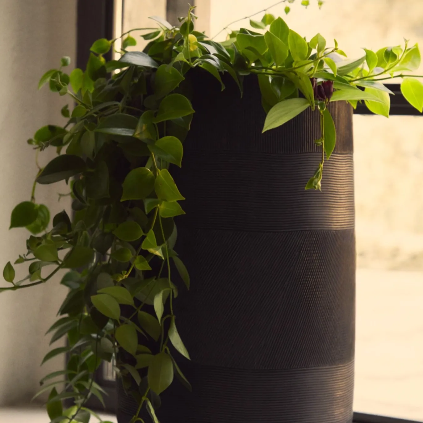 Kave Home Bloempot Tival Cement Zwart Set van 2