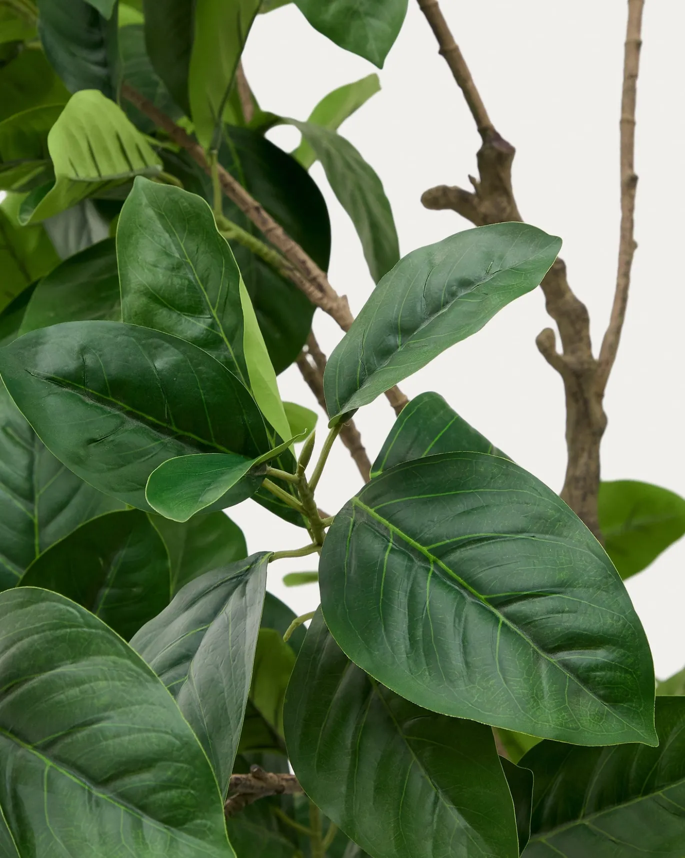 Kave Home Kunstboom Ficus Zwart Pot 210cm
