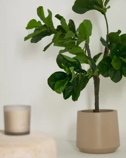 Kave Home Kunstplant Ficus 150cm