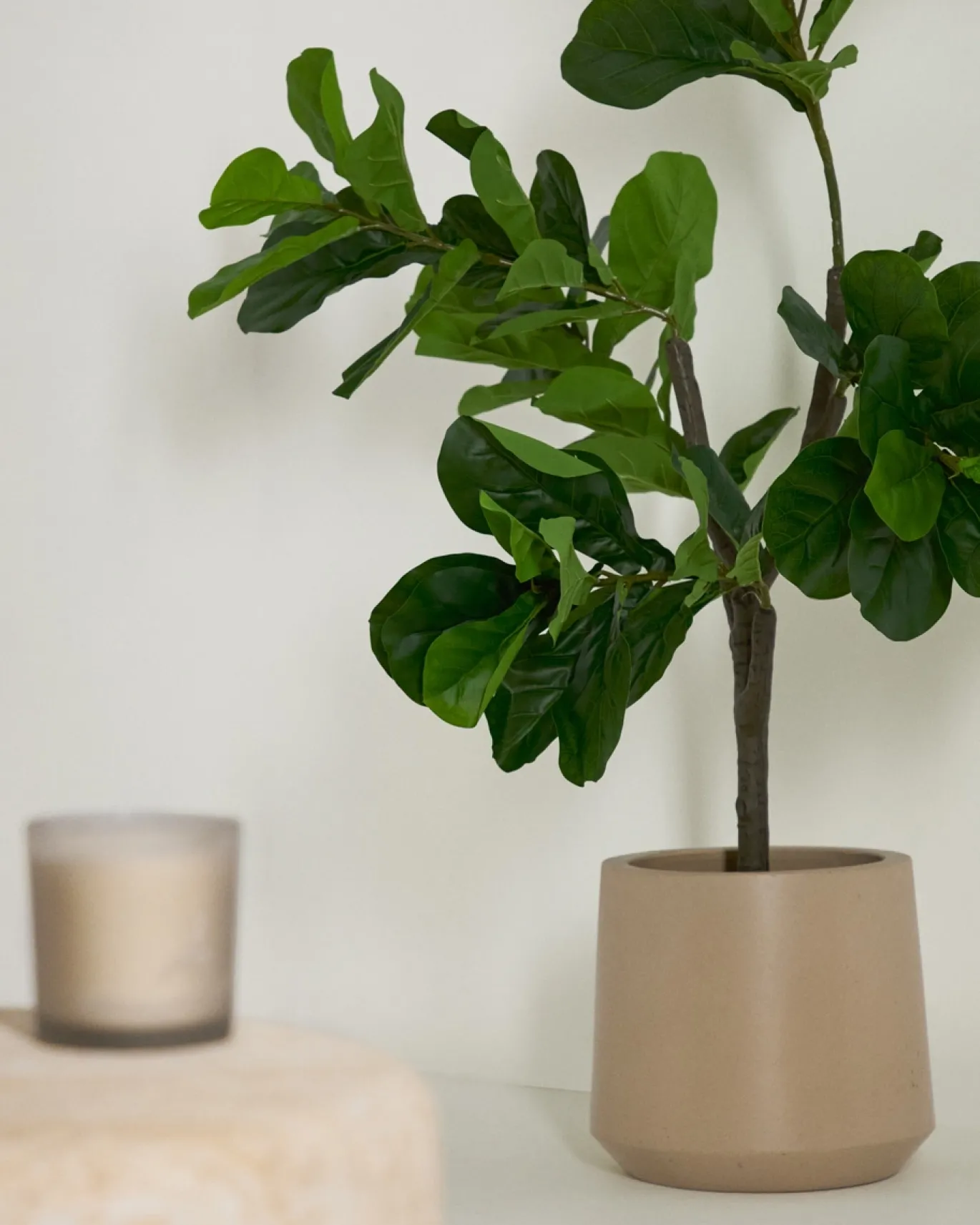 Kave Home Kunstplant Ficus 150cm