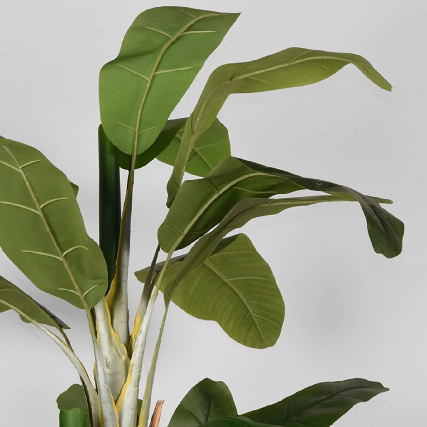 LABEL51 Kunstplant Musa Groen Kunststof 180cm
