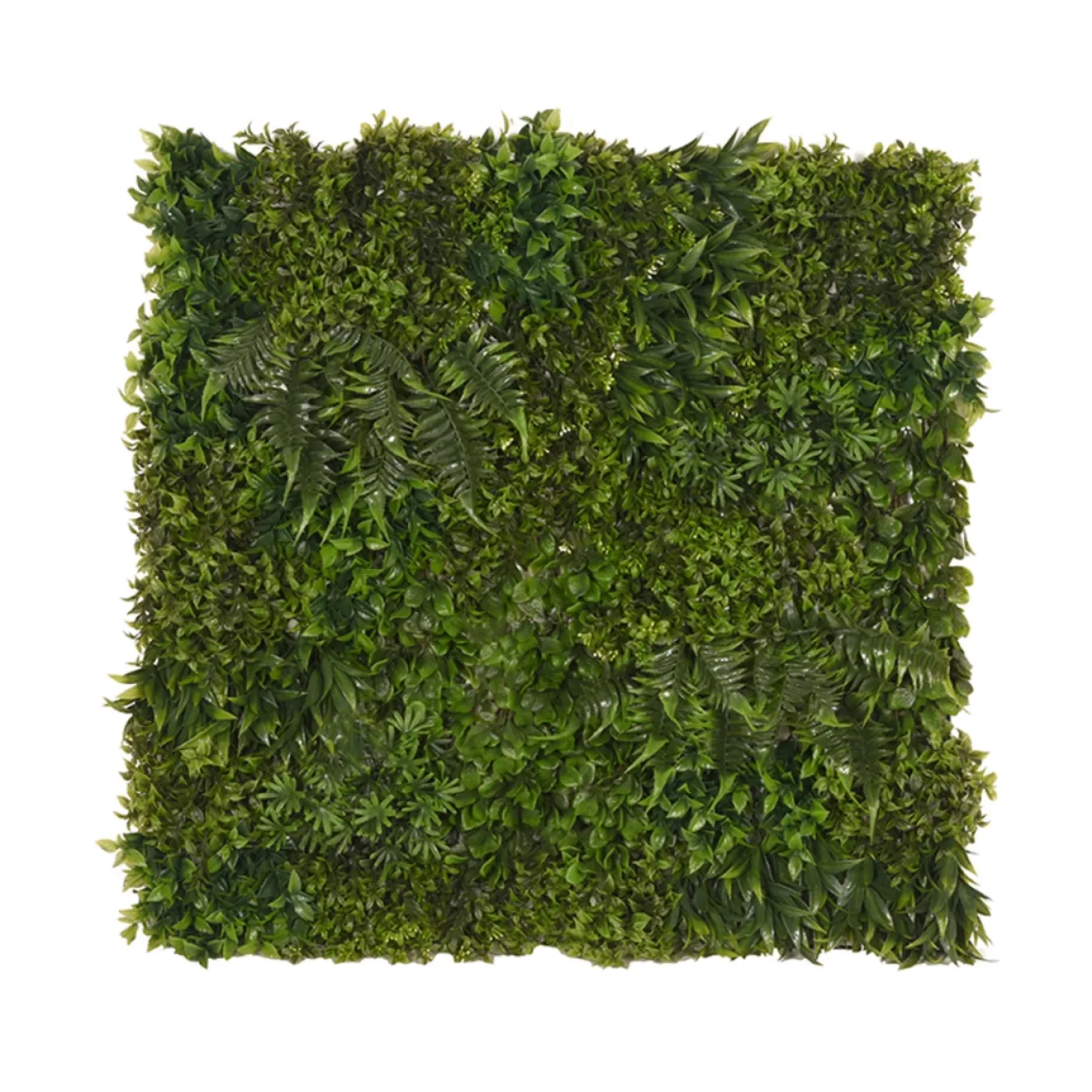 LABEL51 Wandpaneel Kunstplant Groen Kunststof 80x80cm