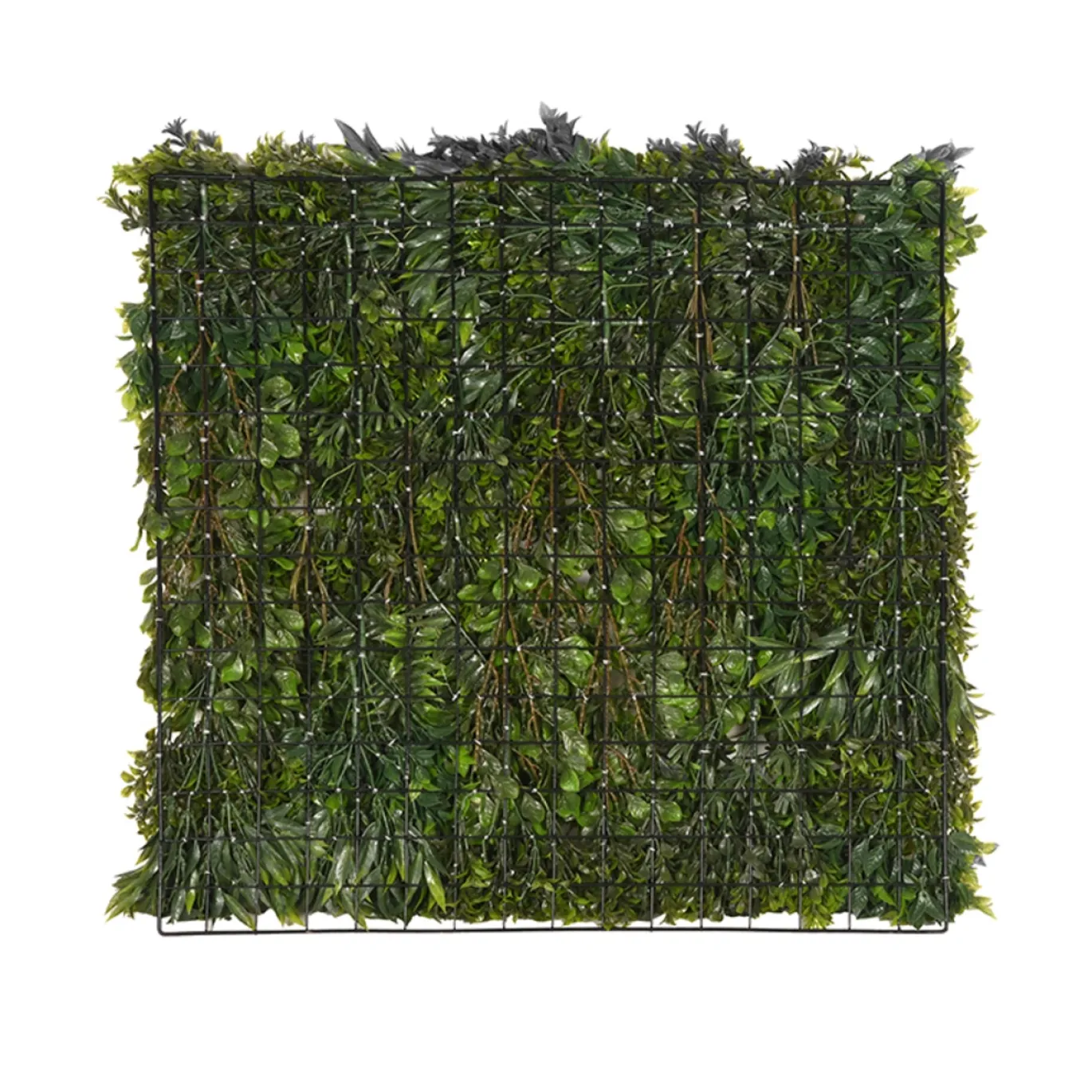 LABEL51 Wandpaneel Kunstplant Groen Kunststof 80x80cm