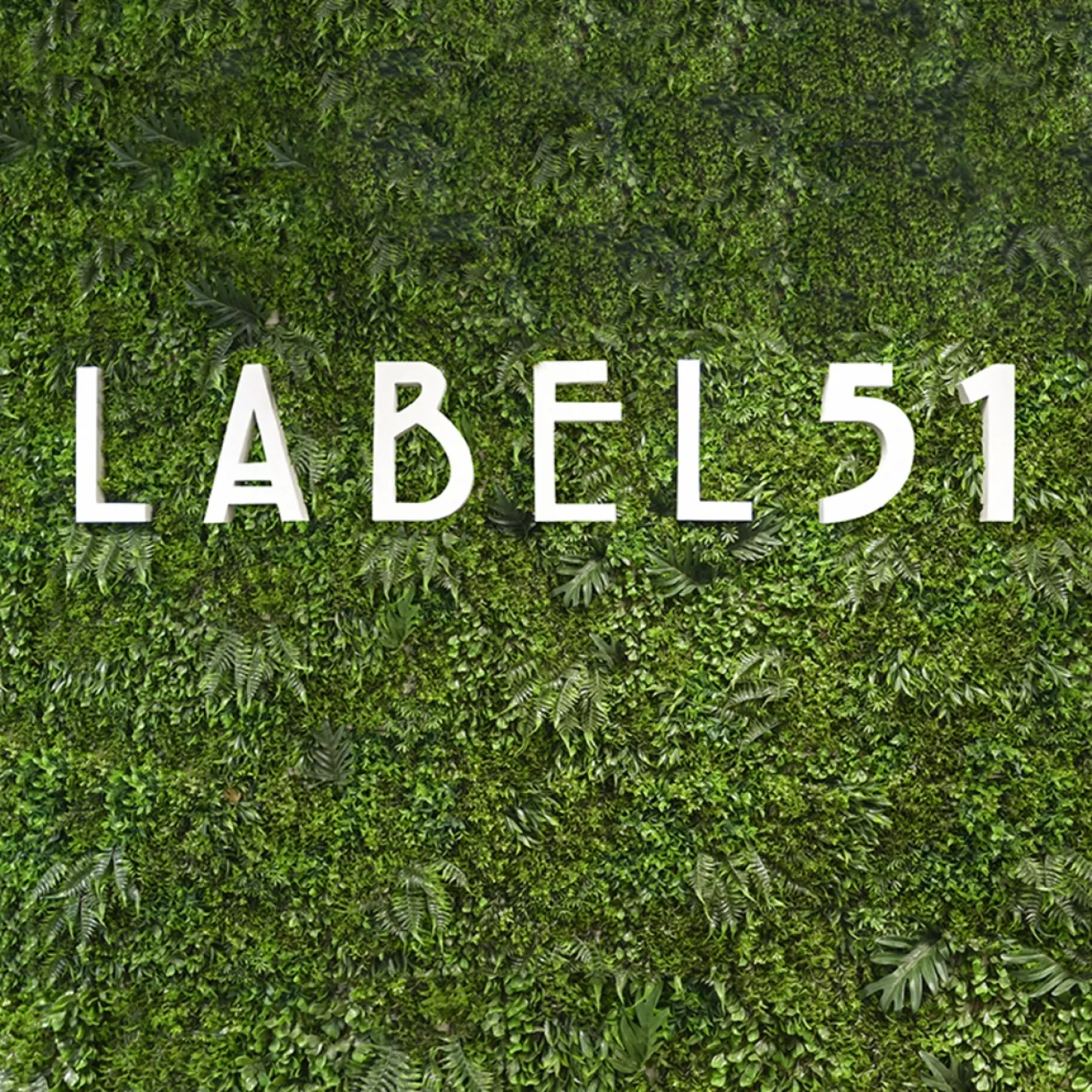 LABEL51 Wandpaneel Kunstplant Groen Kunststof 80x80cm