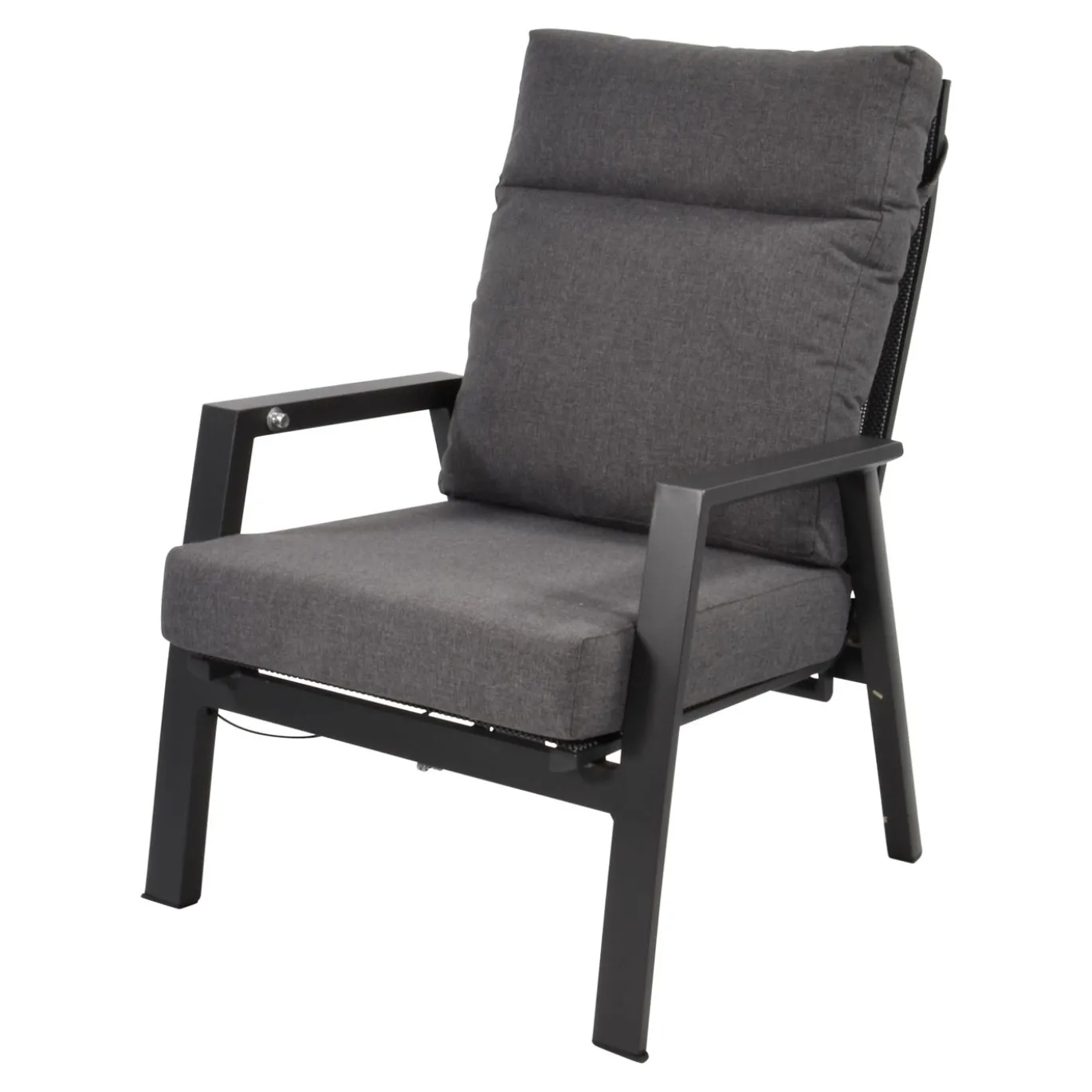 Lesli Living Loungestoel Ohio
