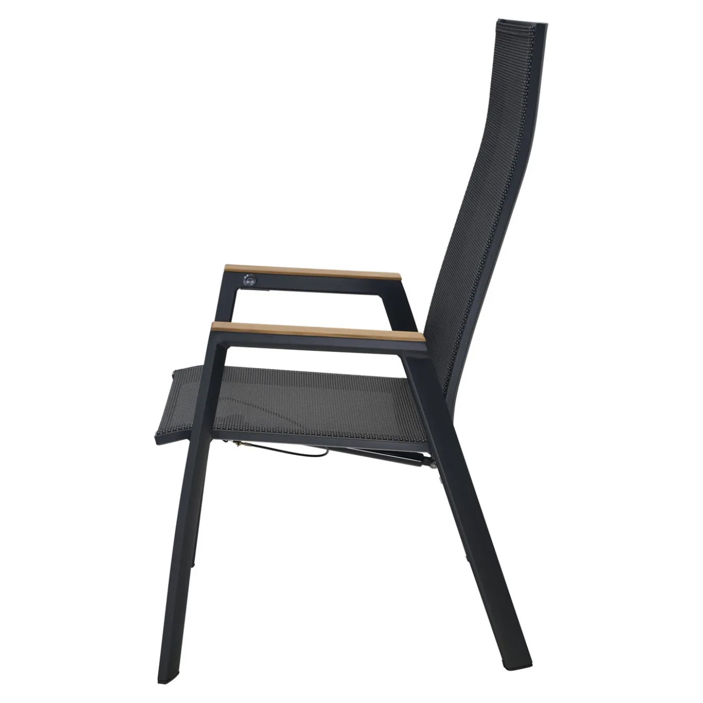 Lesli Living Standenstoel Amir Teak Zwart