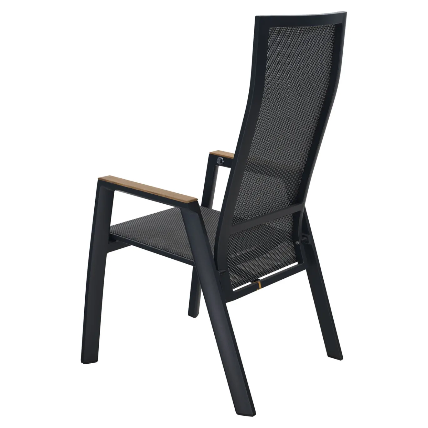 Lesli Living Standenstoel Amir Teak Zwart