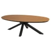 Lesli Living Tuintafel Arezzo Ovaal 240x110cm