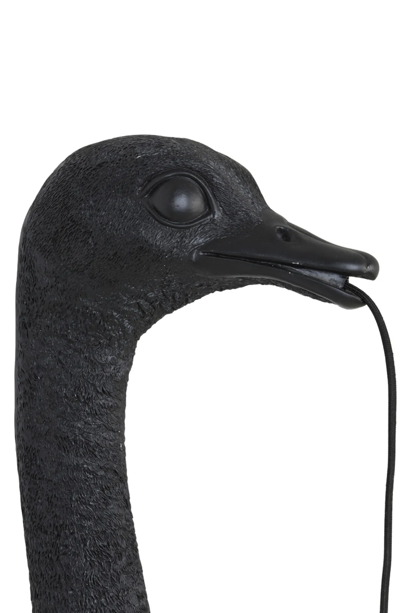 Light & Living Wandlamp Ostrich Mat Zwart M