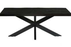 Livingfurn Boomstamtafel Norris Spider Mangohout Zwart 240cm