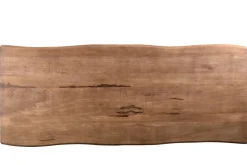 Livingfurn Eettafel Brix Sturdy Boomstam Spinpoot 200 cm