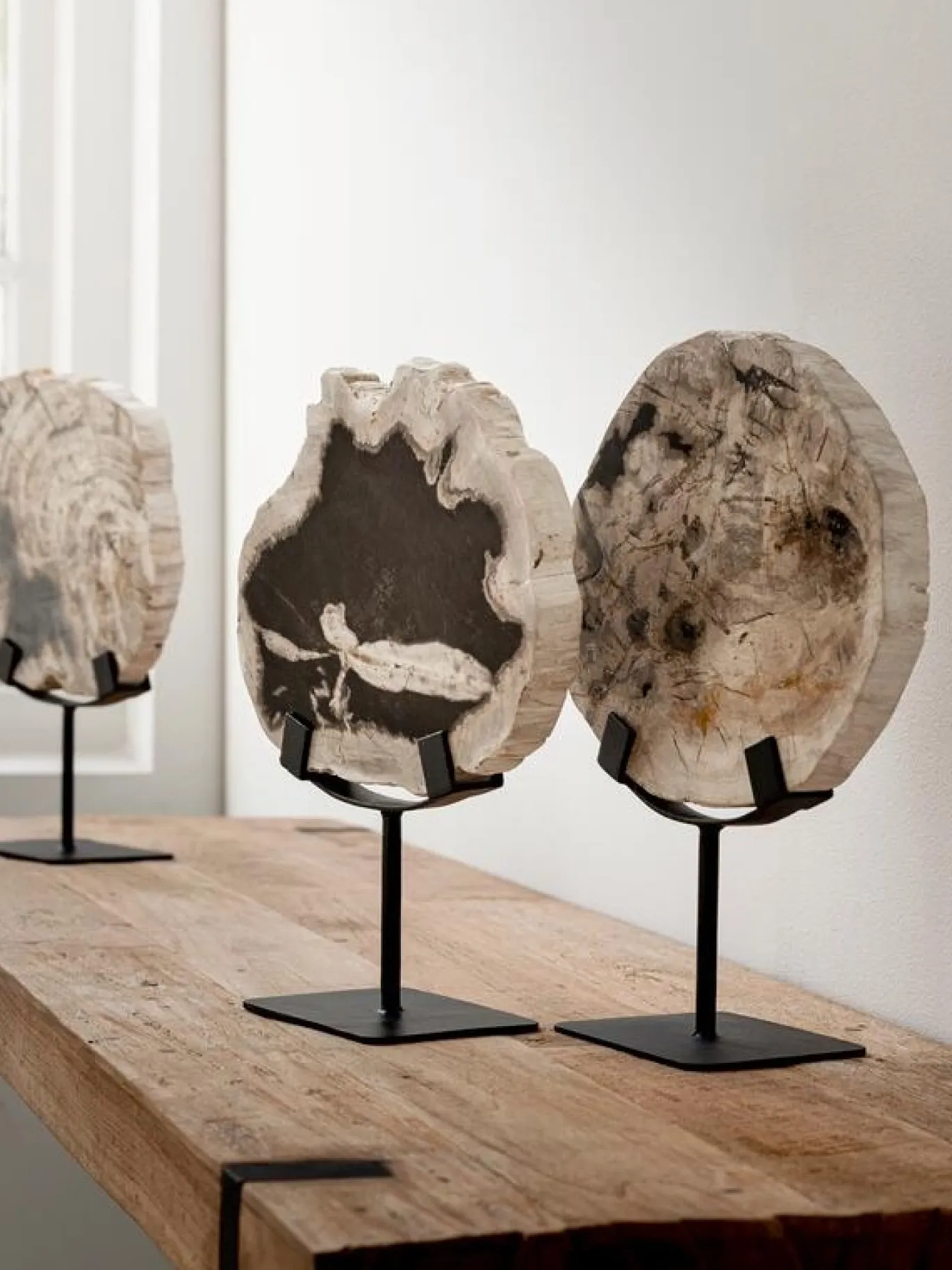 Must Living Deco Object Fossil Versteend Hout 33cm