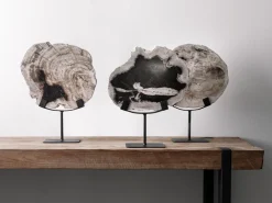 Must Living Deco Object Fossil Versteend Hout 33cm