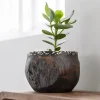 Must Living Kom Coral