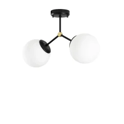 Plafondlamp Damar Zwart 2-Lichts