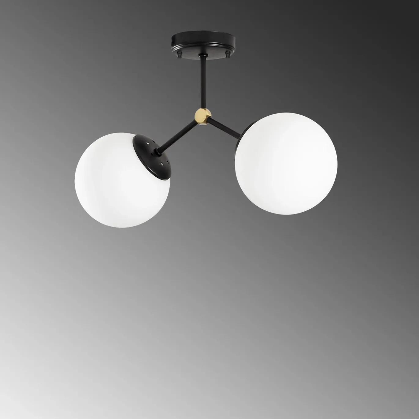 Plafondlamp Damar Zwart 2-Lichts