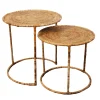 Pole to Pole Salontafel Raffles Set van 2