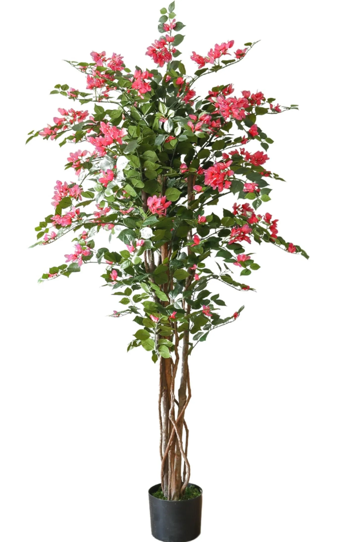 PrettyPlants Bougainvillea Kunstplant 150cm
