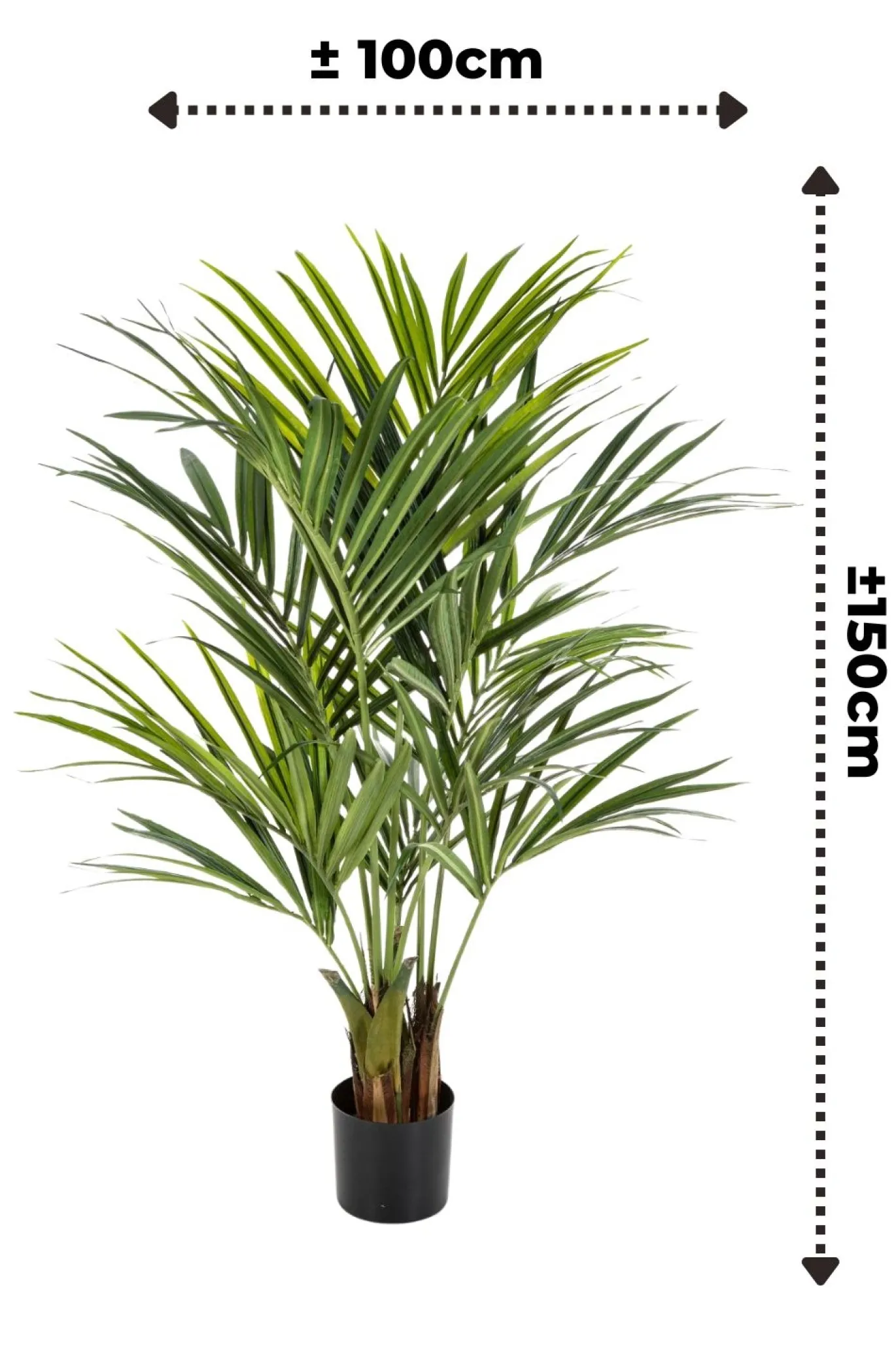 PrettyPlants Kentia Kunstpalm 150cm