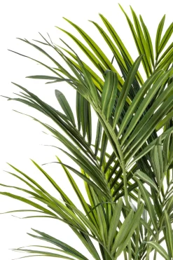 PrettyPlants Kentia Kunstpalm 150cm